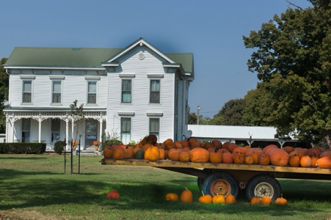 farmhouse with pumpkins on flatbed truck in foreground